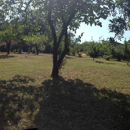 Secluded 1.8 Acre Garden Villa, For Exclusive Use With Stunning Views. Kalandra المظهر الخارجي الصورة